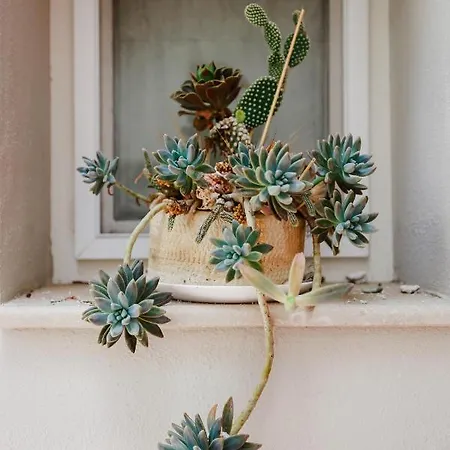 Isabella Short Lets Lägenhet *