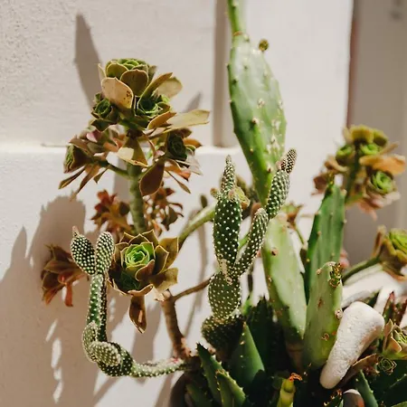 Isabella Short Lets Apartment Polignano a Mare